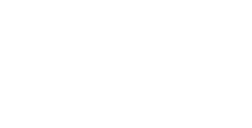 Fundação Fenômenos